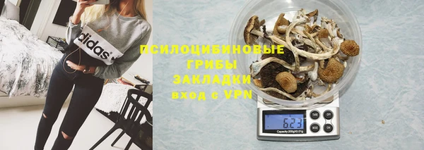 прущий лед Алексин