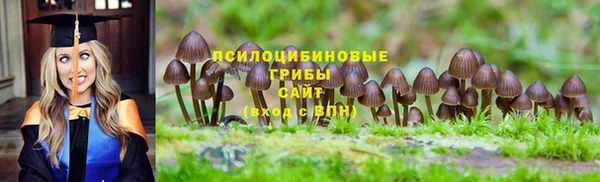 стаф Алексеевка