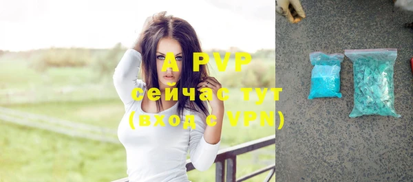 стаф Алексеевка