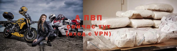 стаф Алексеевка