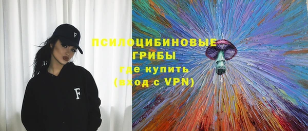 прущий лед Алексин