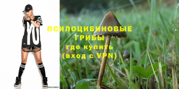 прущий лед Алексин